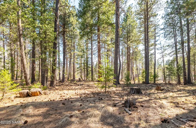 $650,000 | 6617 Freedline Drive, Flagstaff, AZ 86001