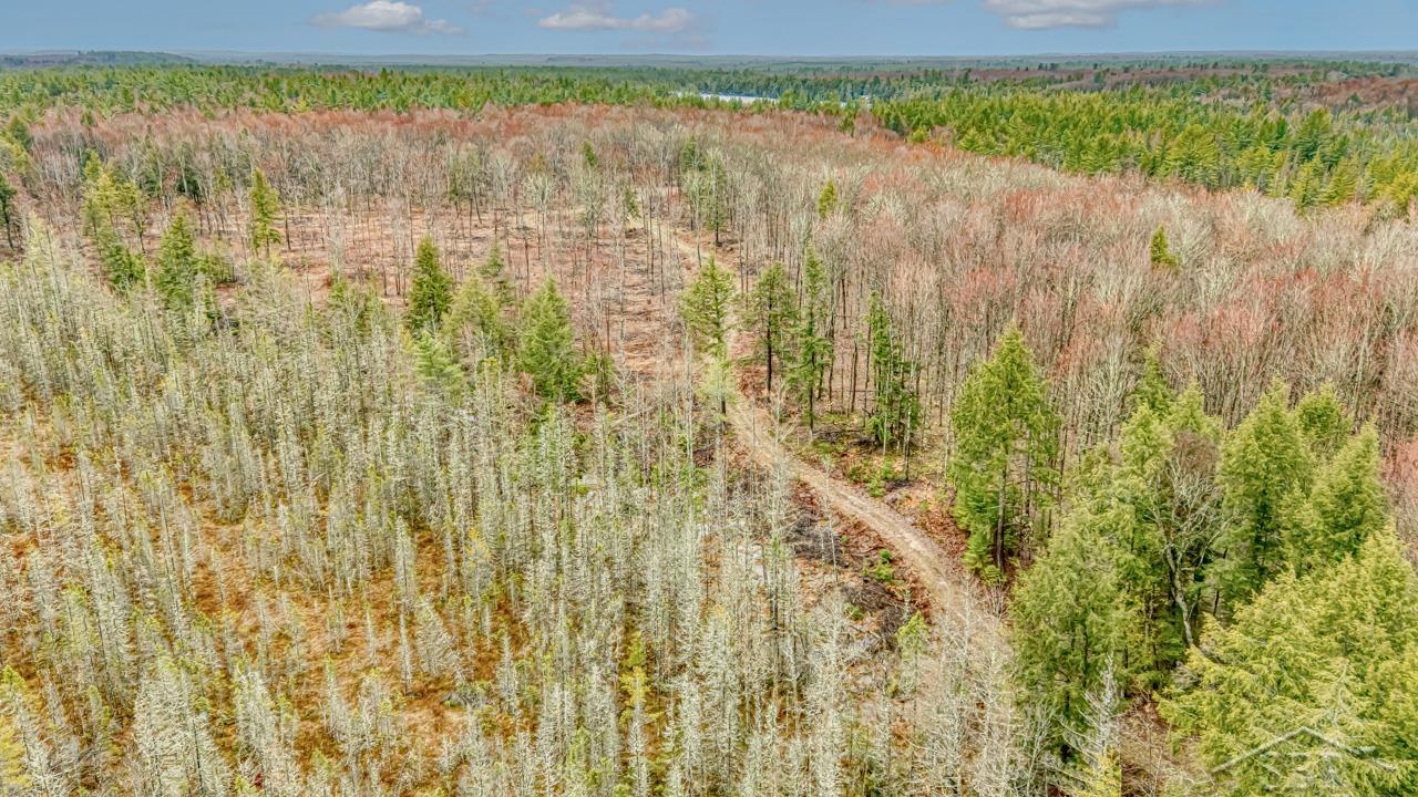 N948 Old Plank Road Wetmore, MI 49895 - Photo 12 of 26