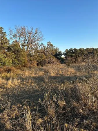 a view of a field