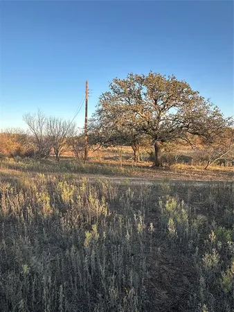 a view of a yard in a yard