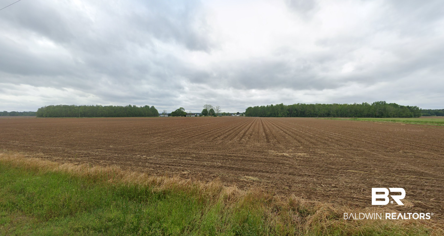9109 Jack Springs Road Atmore, AL 36502 - Photo 12 of 16 Still Farm Road Frontage/View
