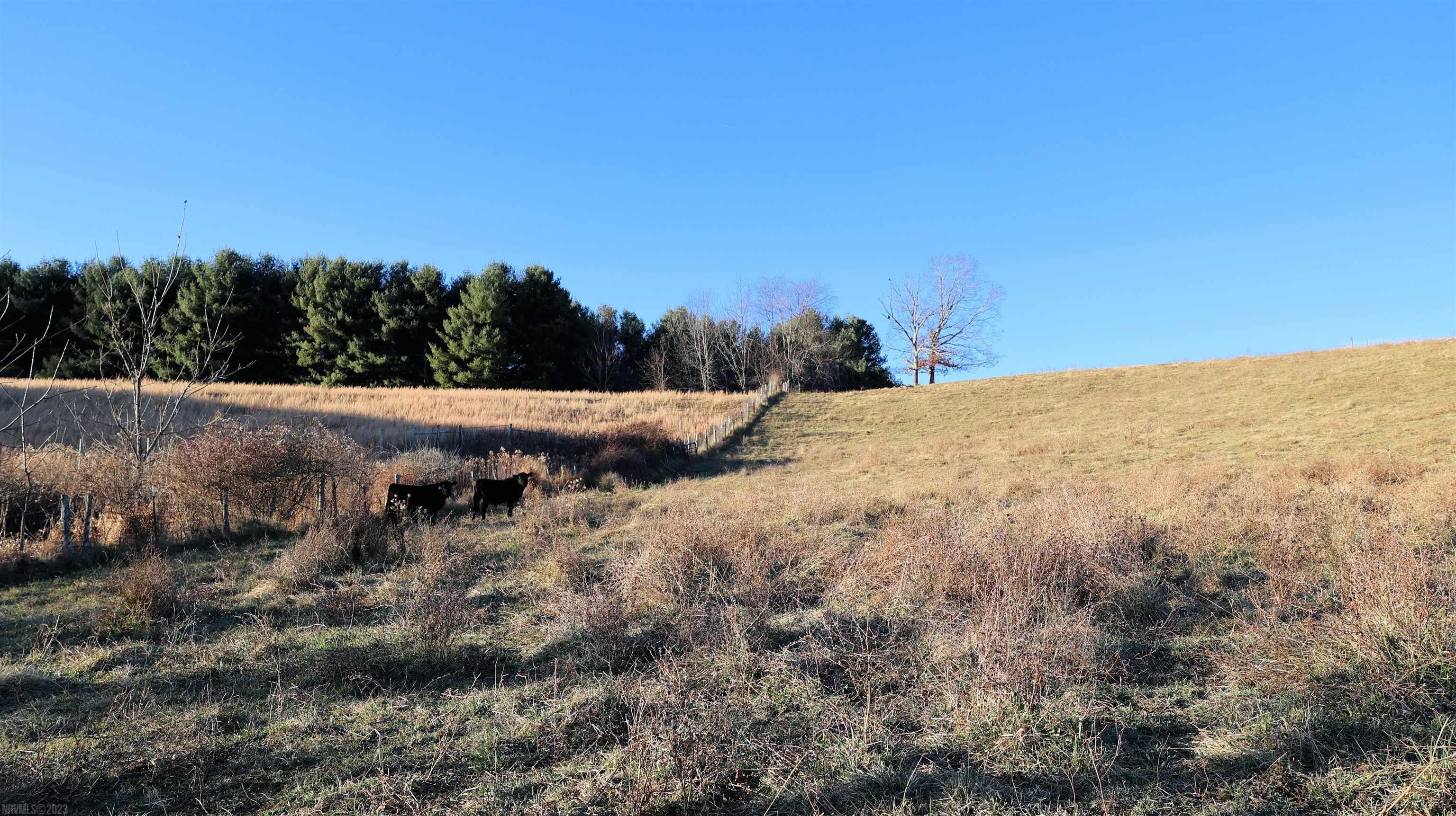 13.04 Ac Laurel Branch Road Floyd, VA 24091 - Photo 22 of 34 Gallery Image 22