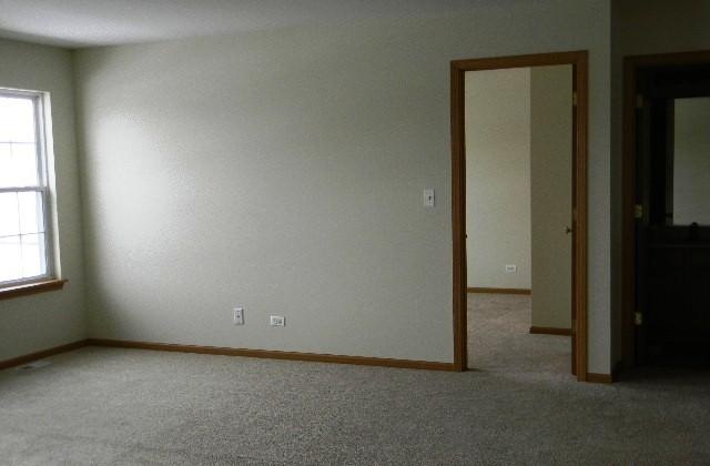 224 Ridgestone Trail Poplar Grove, IL 61065 - Photo 11 of 17 an empty room with windows and closet