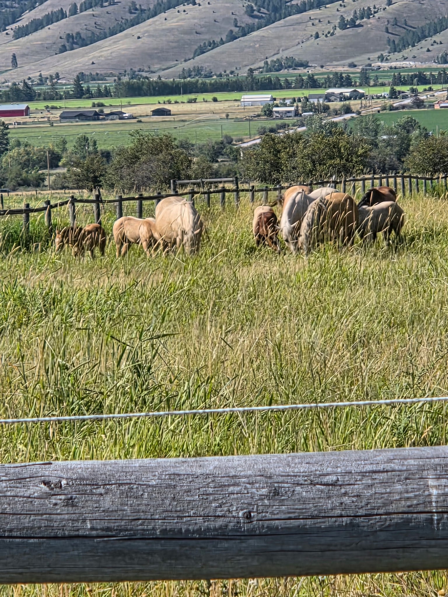 1396 Thunder Rd. Arlee, MT 59821 - Photo 53 of 56 Gallery Image 53