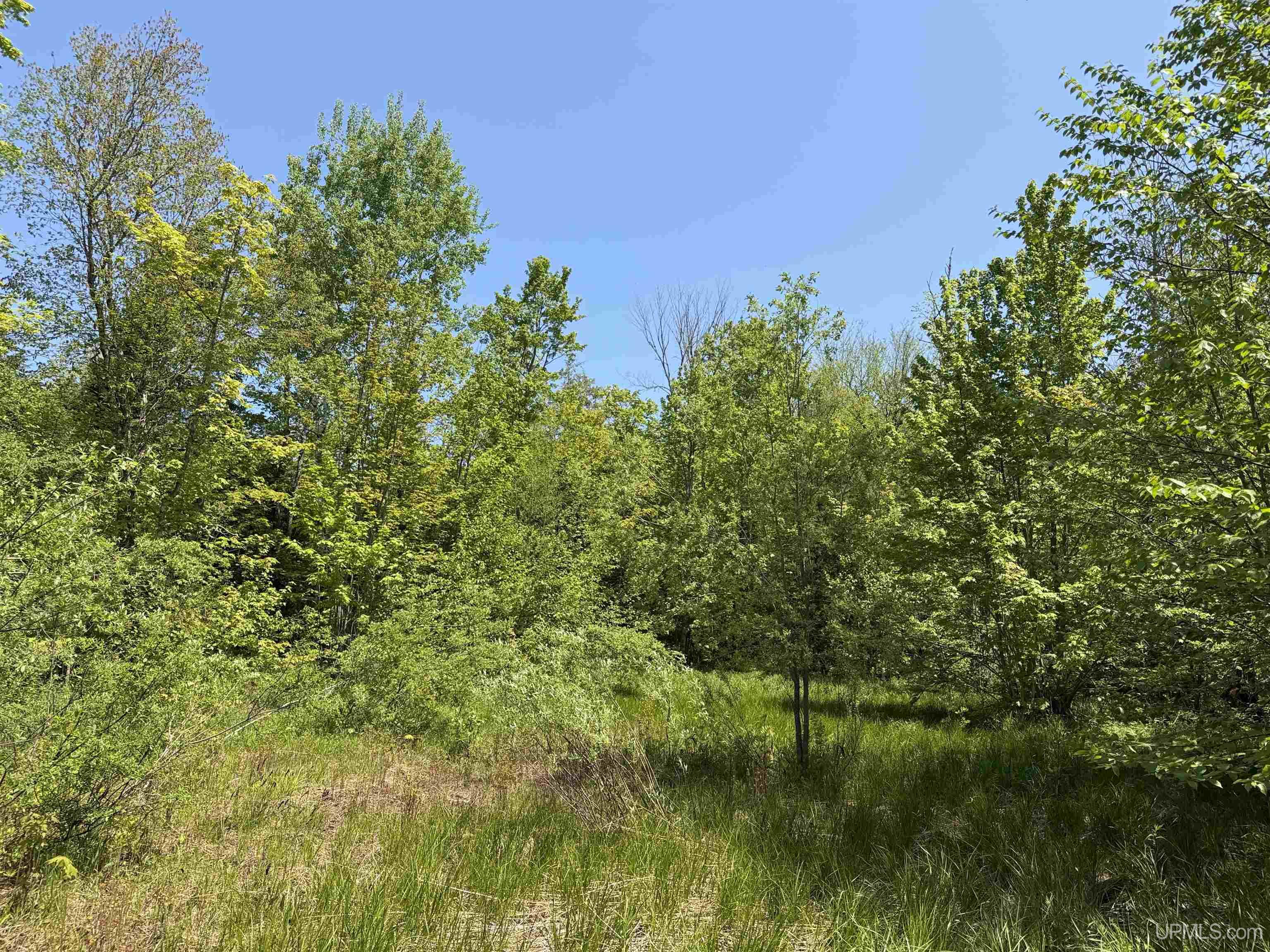 Off East Lake Road Ironwood, MI 49938 - Photo 15 of 30