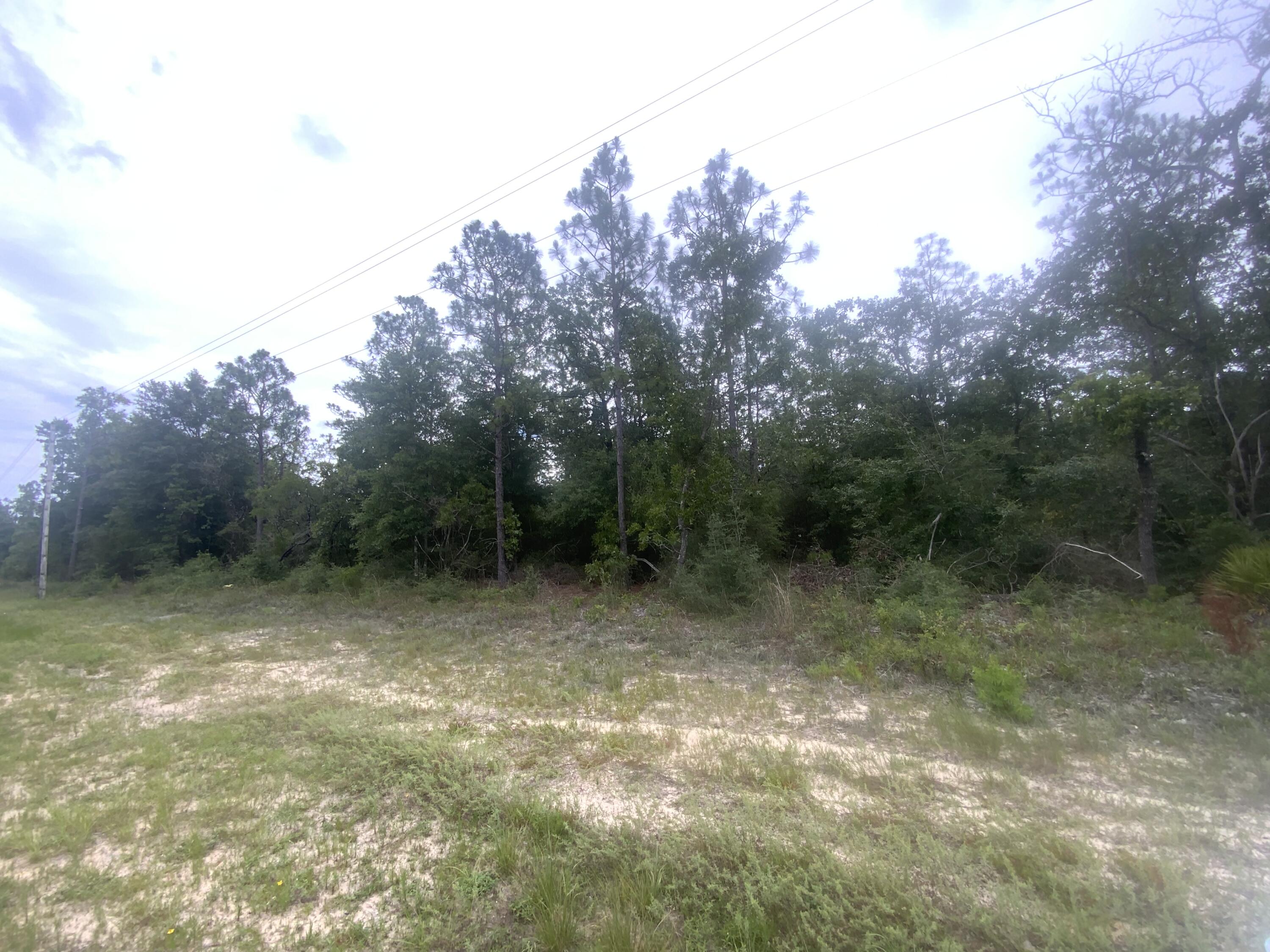 0 Mt Olive Road, Unit LOT 5 Crestview, FL 32539 - Photo 1 of 2 593A7D1F-52AF-4086-B5C6-4D837CED046B