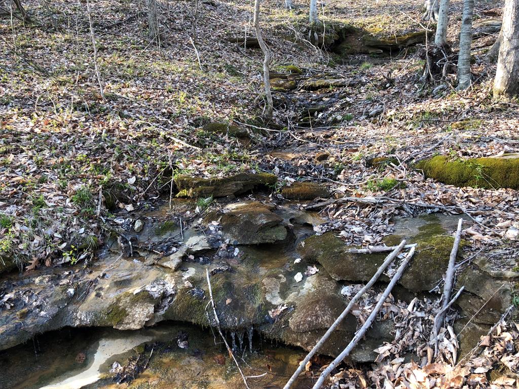 950 Johnney Harvey Road Breeding, KY 42715 - Photo 21 of 26 Gallery Image 21