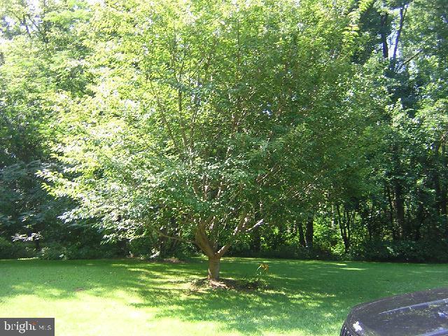 39 Stone Road Quarryville, PA 17566 - Photo 5 of 8 Gallery Image 5