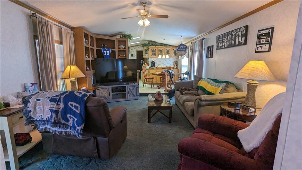 542 Finks Run Road McDonald, PA 15057 - Photo 10 of 28 a living room with furniture a chandelier and a lamp
