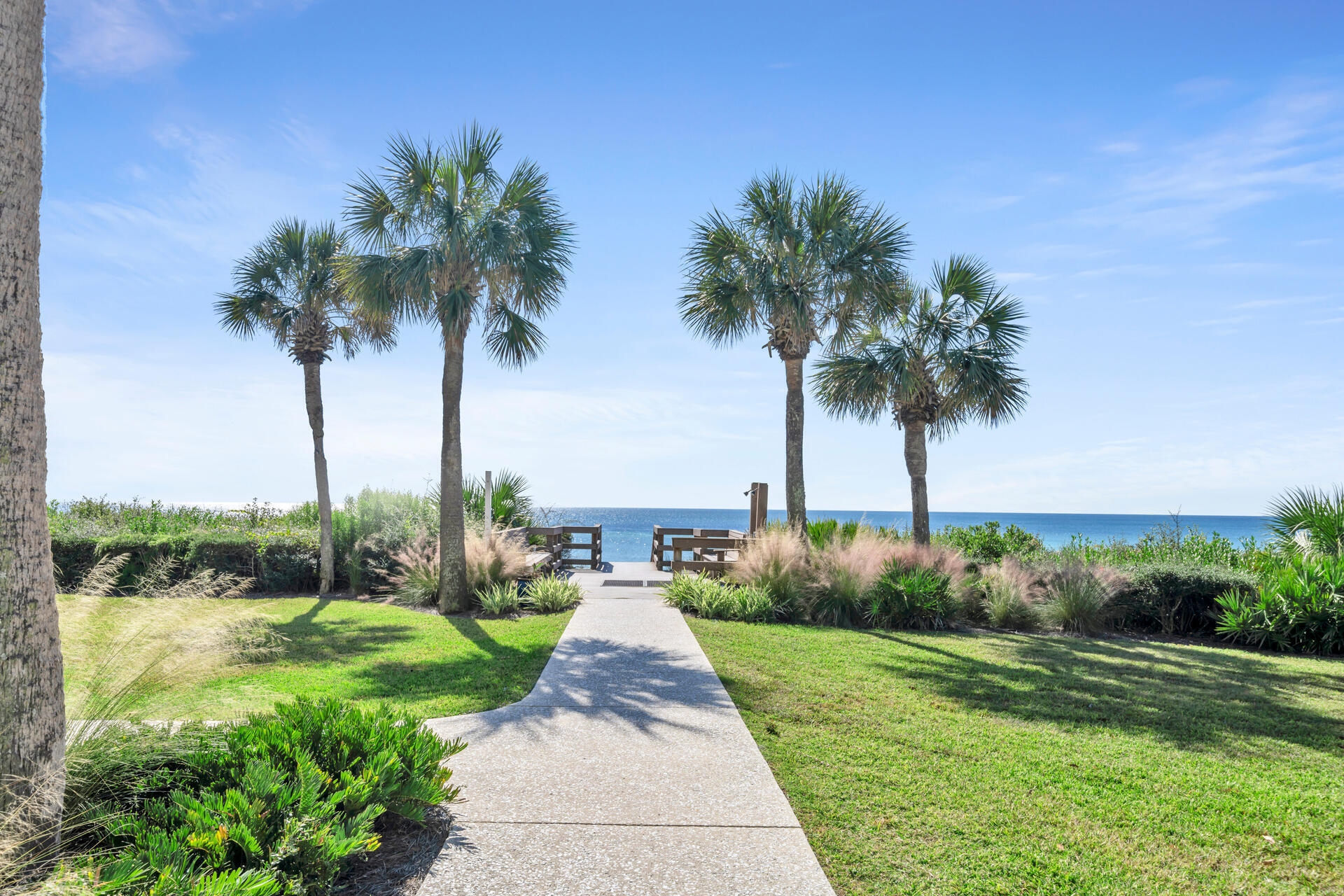 3604 East County Highway 30A, Unit B8 Santa Rosa Beach, FL 32459 - Photo 33 of 39 a view of a yard and palm trees