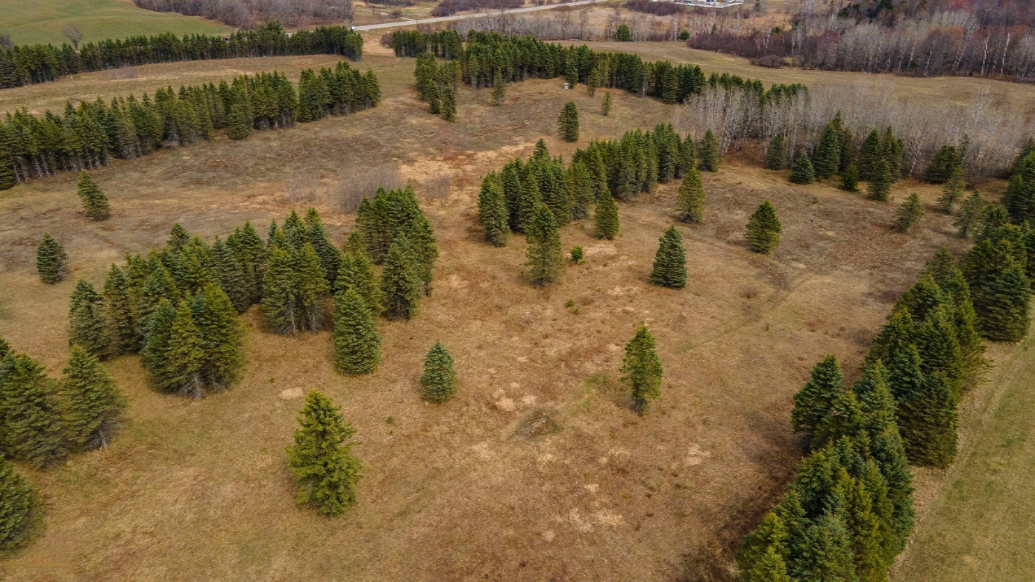 South Deer Lake Road, Unit 2 Reed City, MI 49677 - Photo 11 of 21 11-web-or-mls-DJI_0246