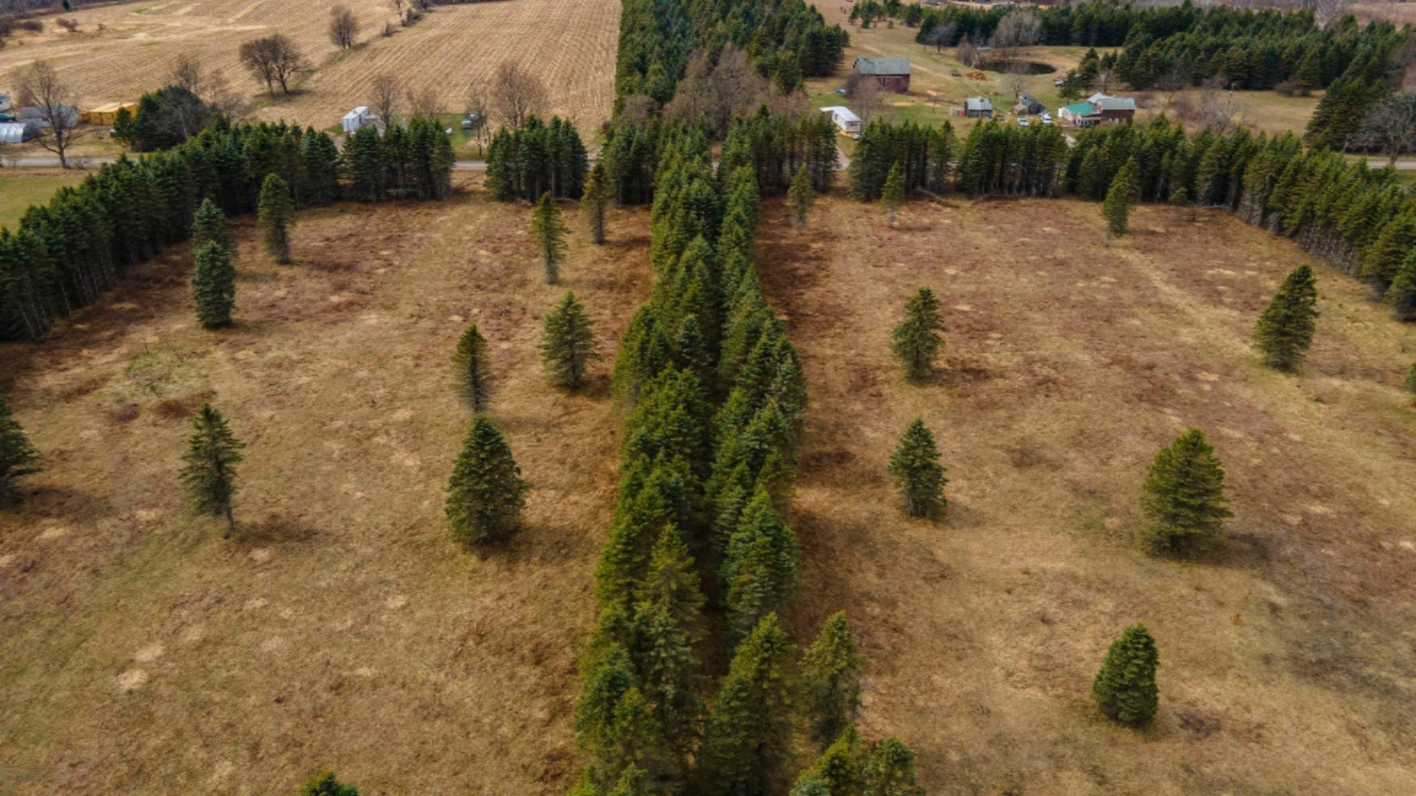 South Deer Lake Road, Unit 2 Reed City, MI 49677 - Photo 12 of 21 12-web-or-mls-DJI_0247