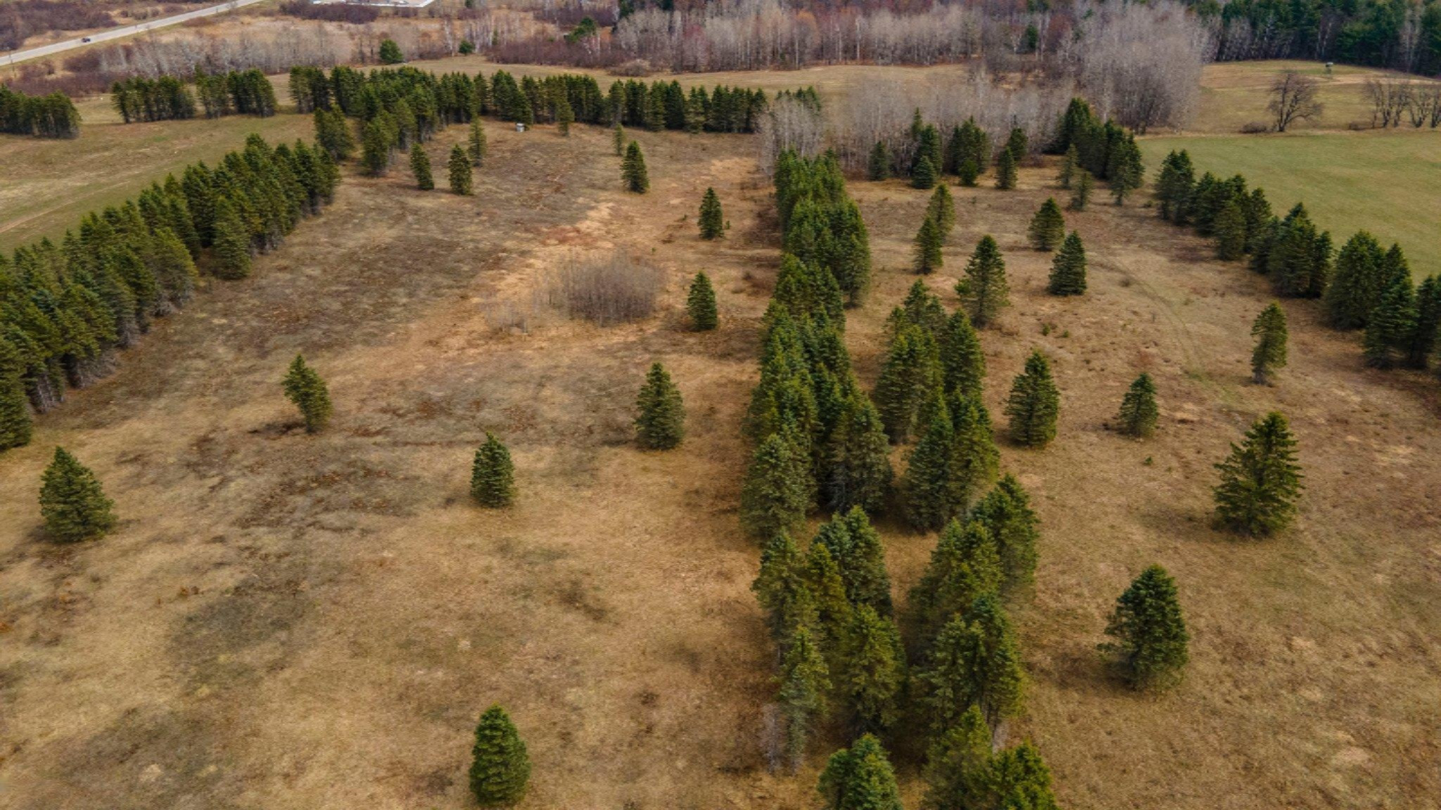 South Deer Lake Road, Unit 2 Reed City, MI 49677 - Photo 13 of 21 13-web-or-mls-DJI_0248