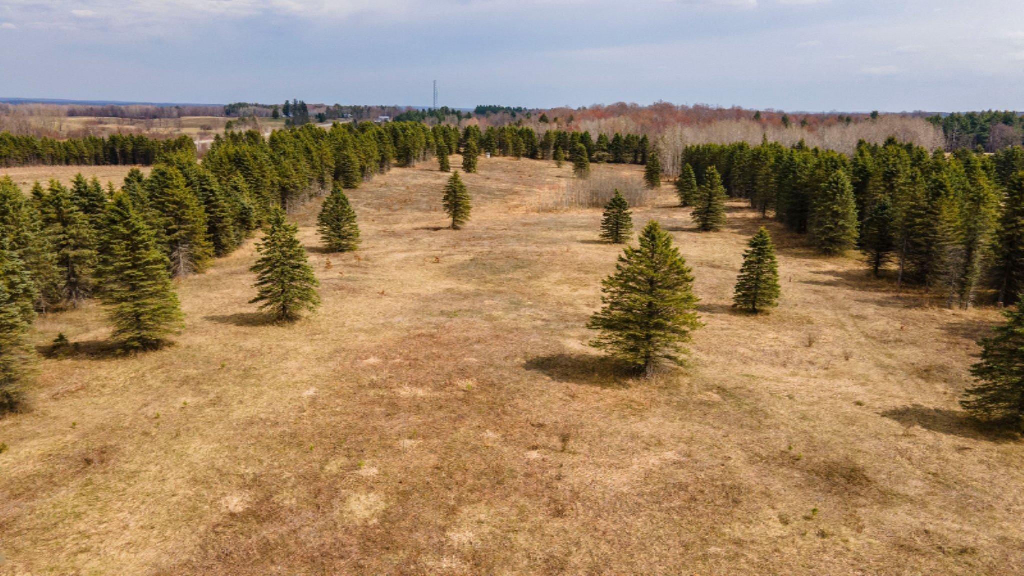 South Deer Lake Road, Unit 2 Reed City, MI 49677 - Photo 17 of 21 17-web-or-mls-DJI_0252