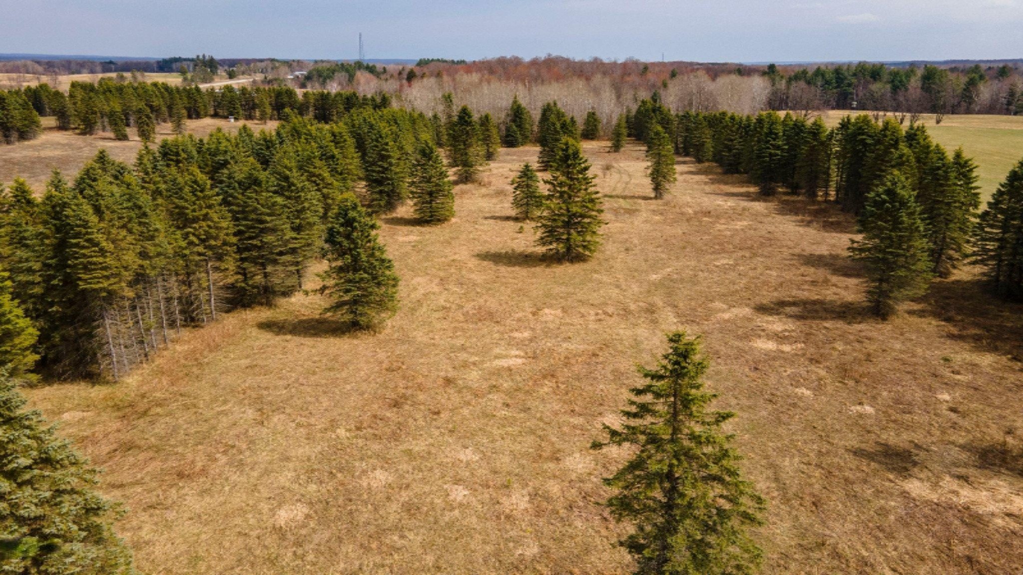 South Deer Lake Road, Unit 2 Reed City, MI 49677 - Photo 18 of 21 18-web-or-mls-DJI_0253