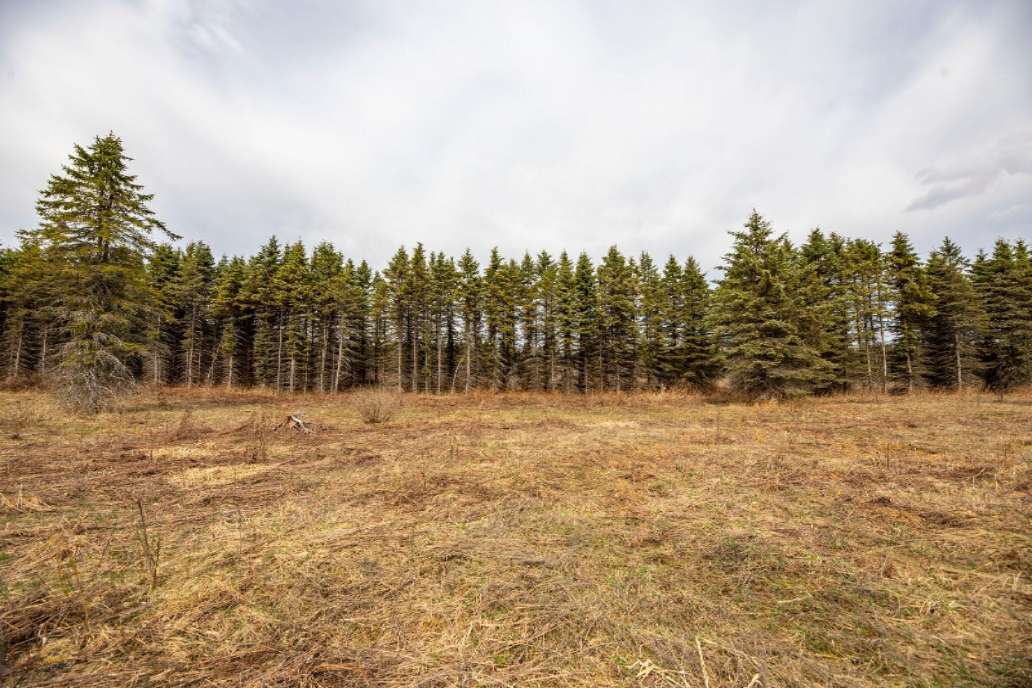 South Deer Lake Road, Unit 2 Reed City, MI 49677 - Photo 2 of 21 2-web-or-mls-3C9A9967