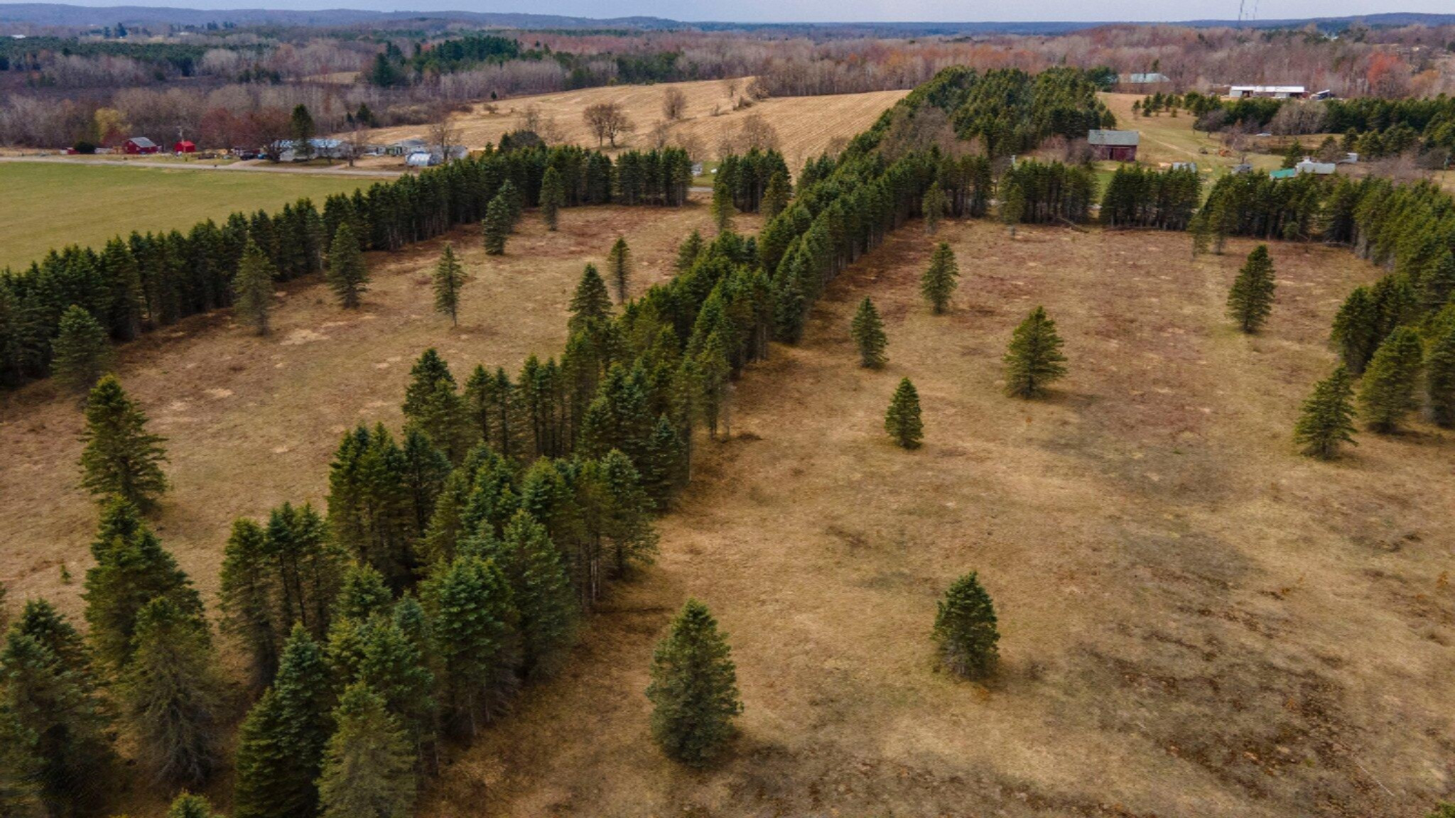 South Deer Lake Road, Unit 2 Reed City, MI 49677 - Photo 21 of 21 21-web-or-mls-DJI_0256