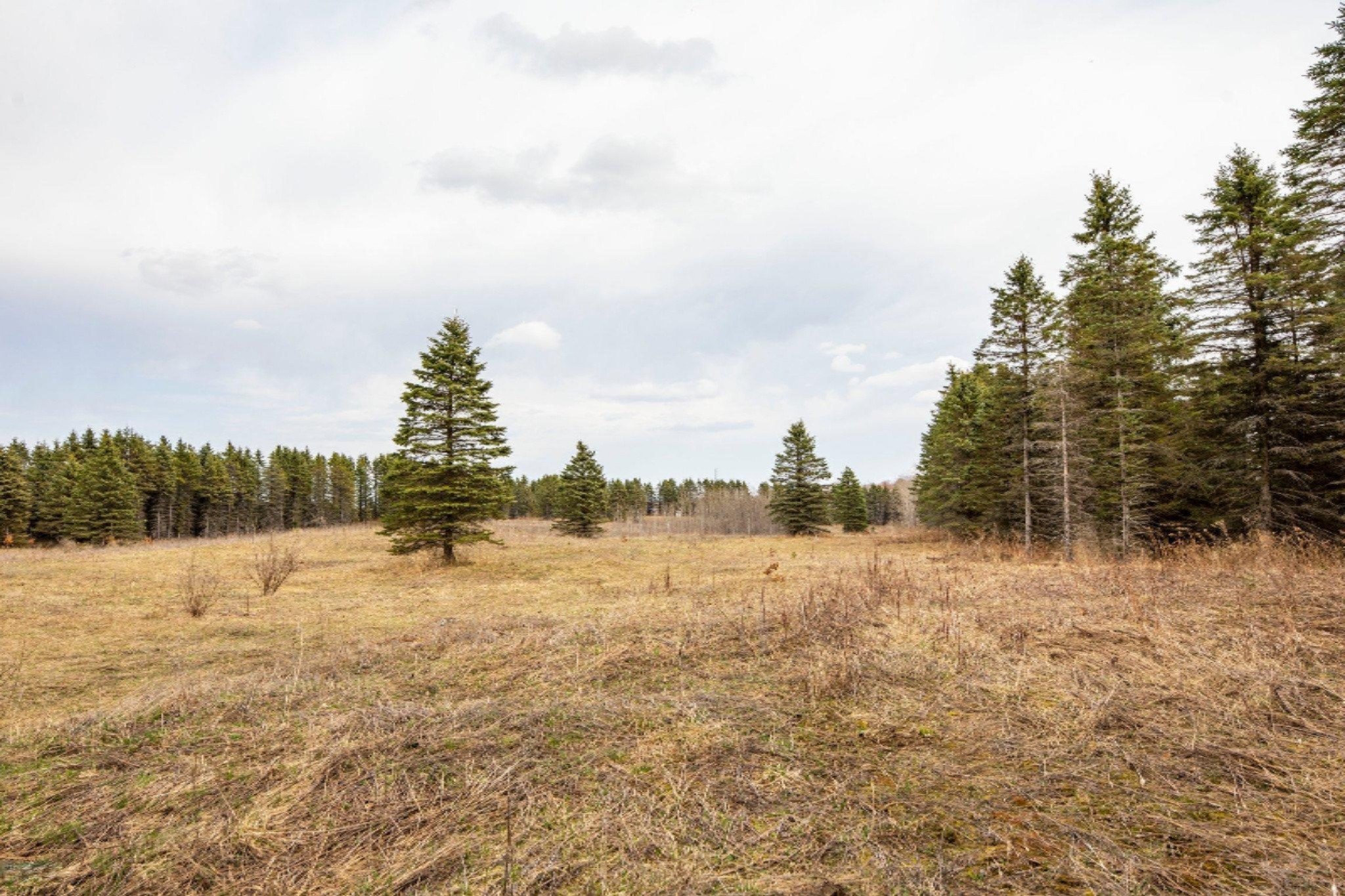 South Deer Lake Road, Unit 2 Reed City, MI 49677 - Photo 5 of 21 5-web-or-mls-3C9A9971