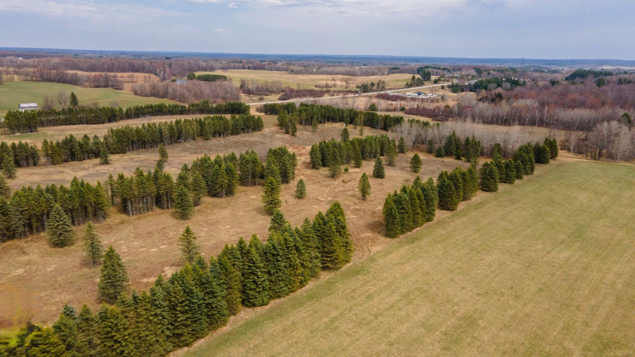 South Deer Lake Road, Unit 2 Reed City, MI 49677 - Photo 10 of 21 10-web-or-mls-DJI_0245
