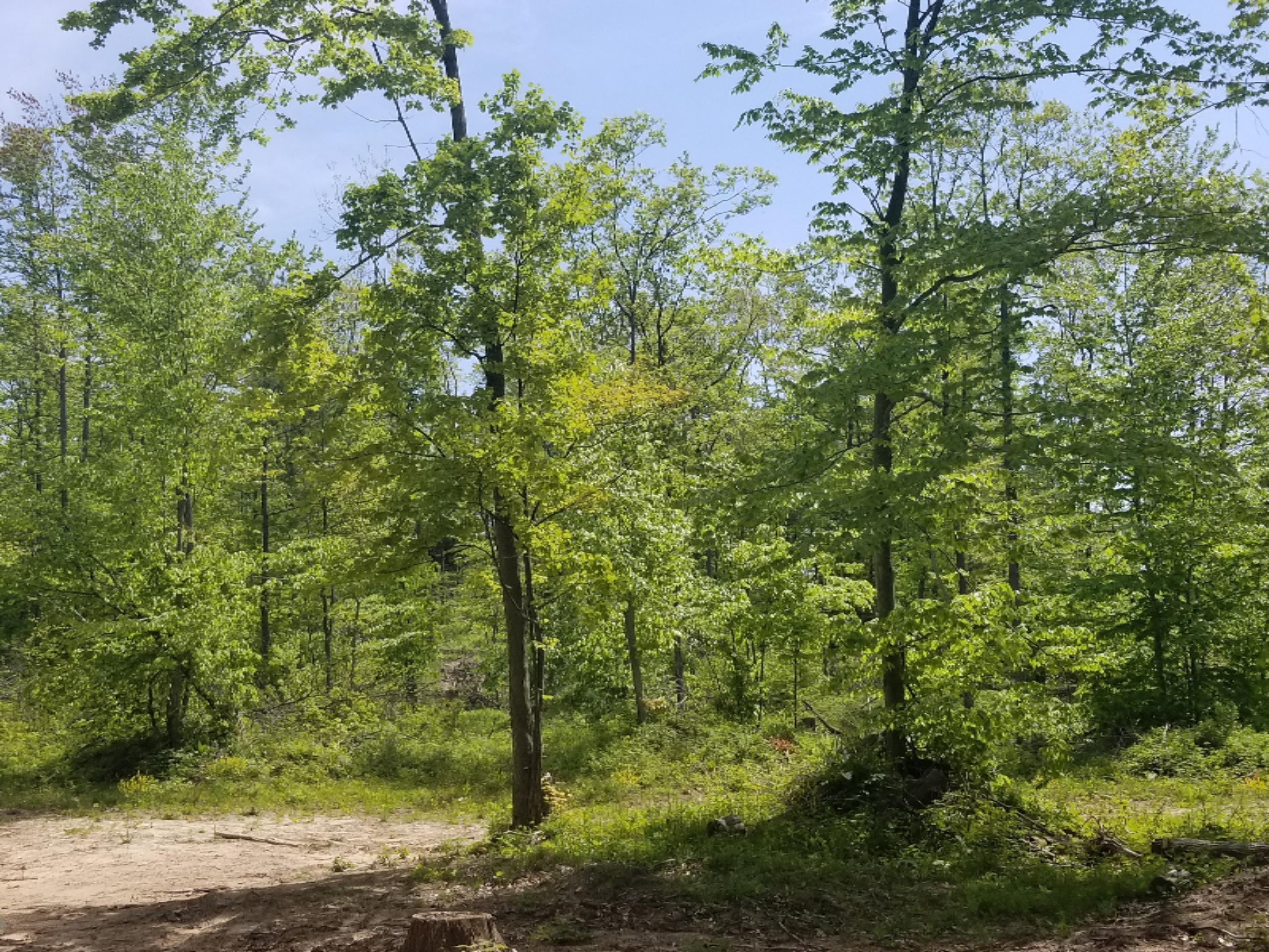 40-acres West Pierce Road Shelby, MI 49455 - Photo 3 of 7 20180525_121710