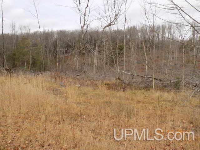 N4105 Powell Lake Road Wetmore, MI 49895 - Photo 5 of 18