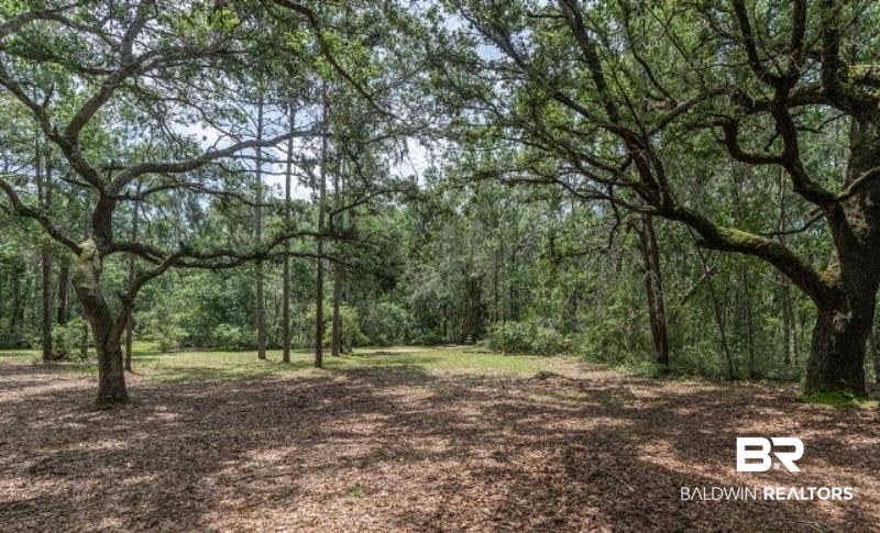 10970 County Road 99 Lillian, AL 36549 - Photo 23 of 38 Hardwoods