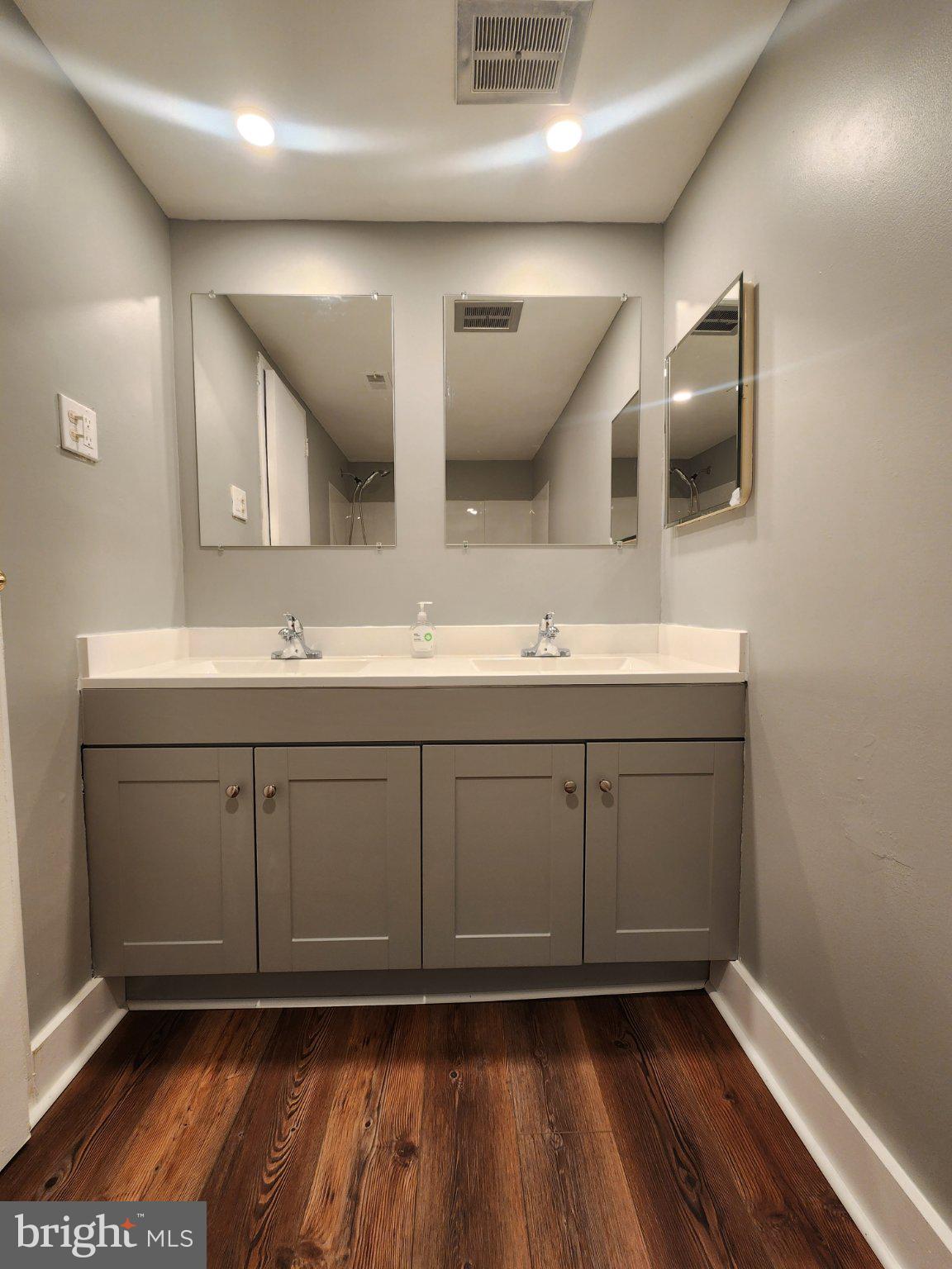 207 Erin Way, Unit T4 Reisterstown, MD 21136 - Photo 15 of 28 Modern Dual Sink with storage.