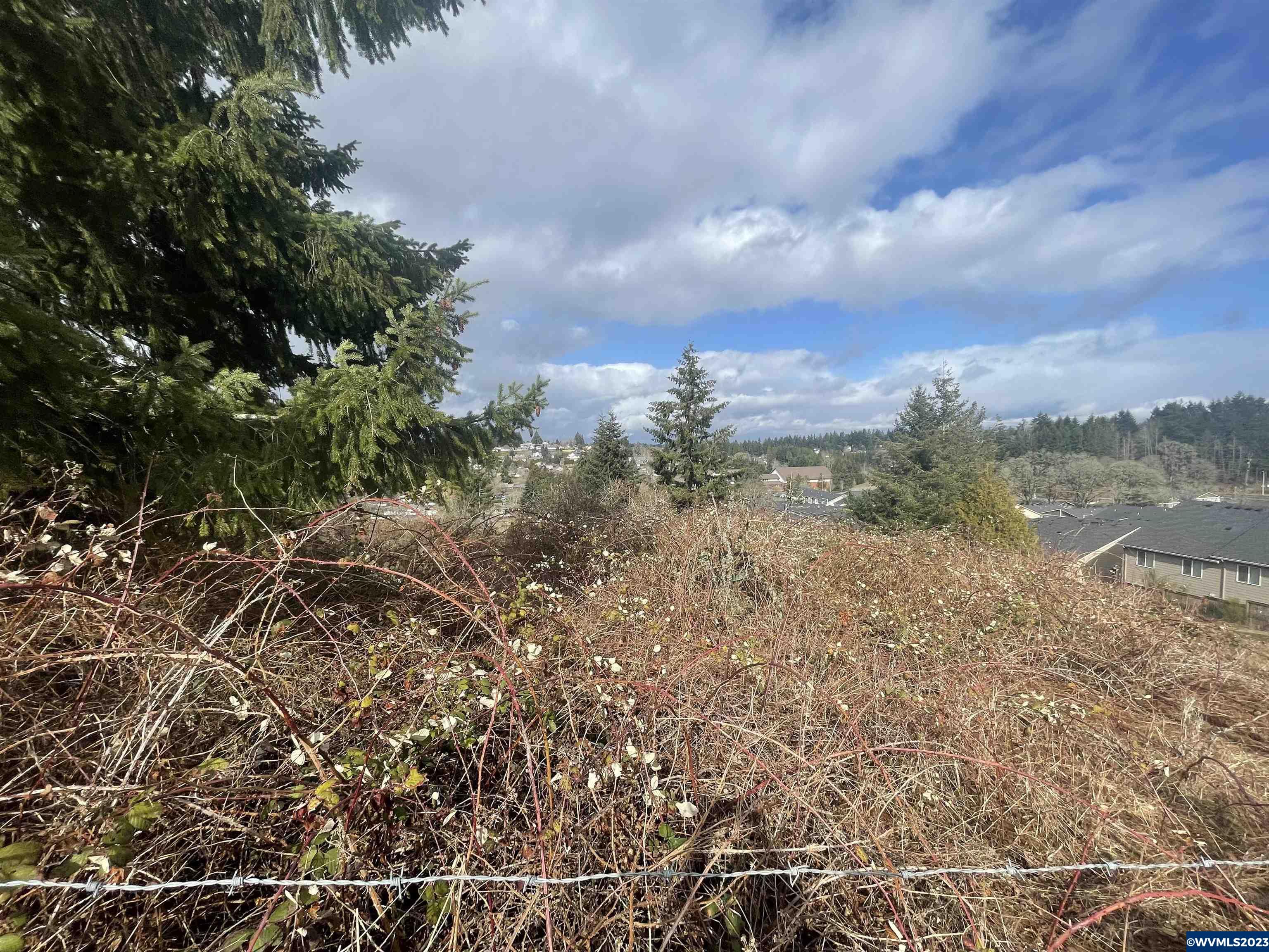 1396 Davis Road South Salem, OR 97306 - Photo 4 of 10
