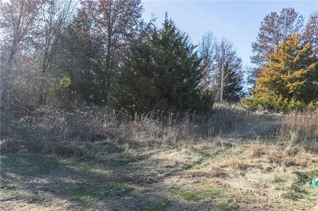 $260,000 | 24298 Mount Olive Road, Marshall, MO 65340