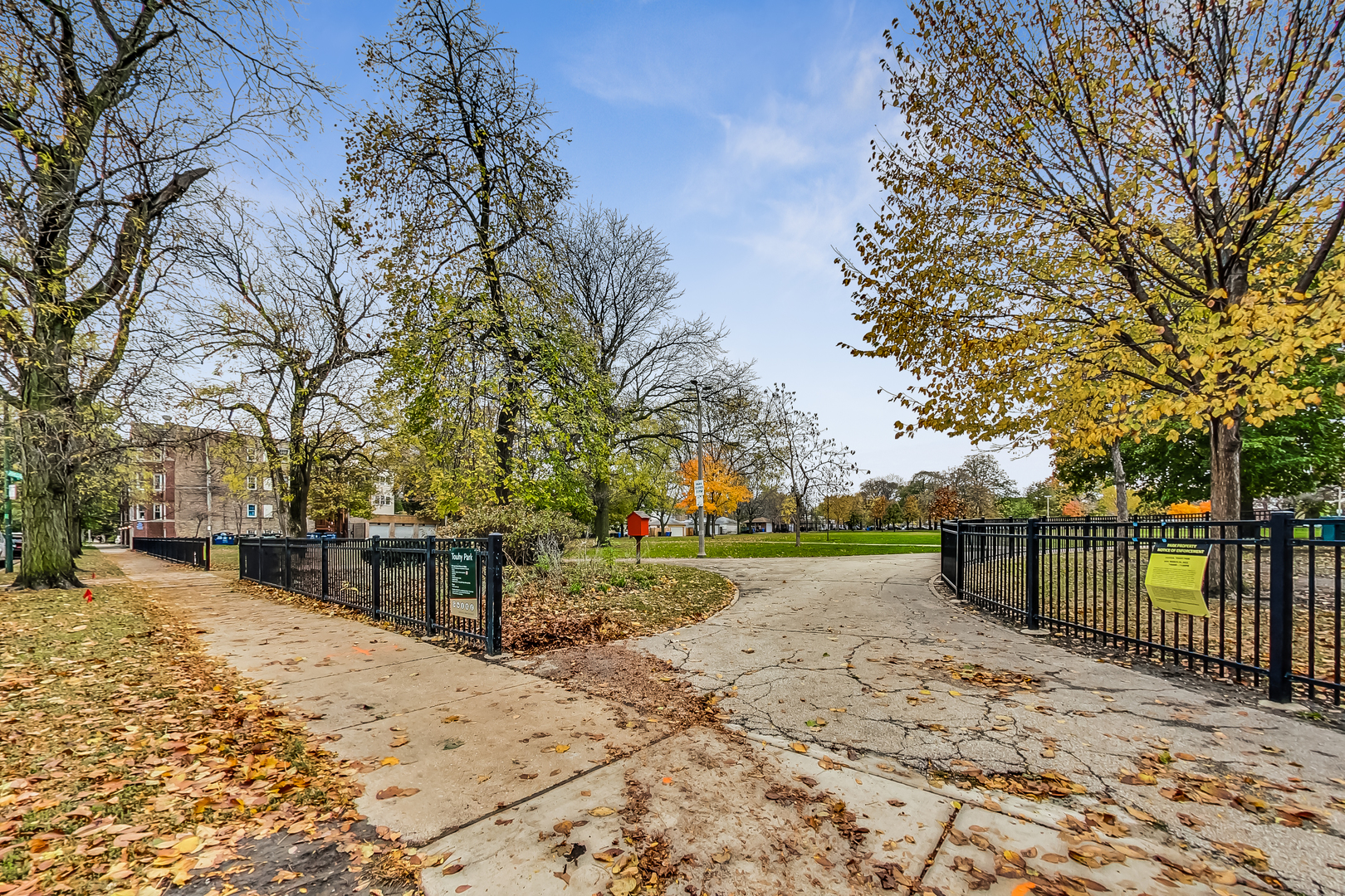 7321 North Paulina Street, Unit 2 Chicago, IL 60626 - Photo 25 of 27 a view of outdoor space with trees