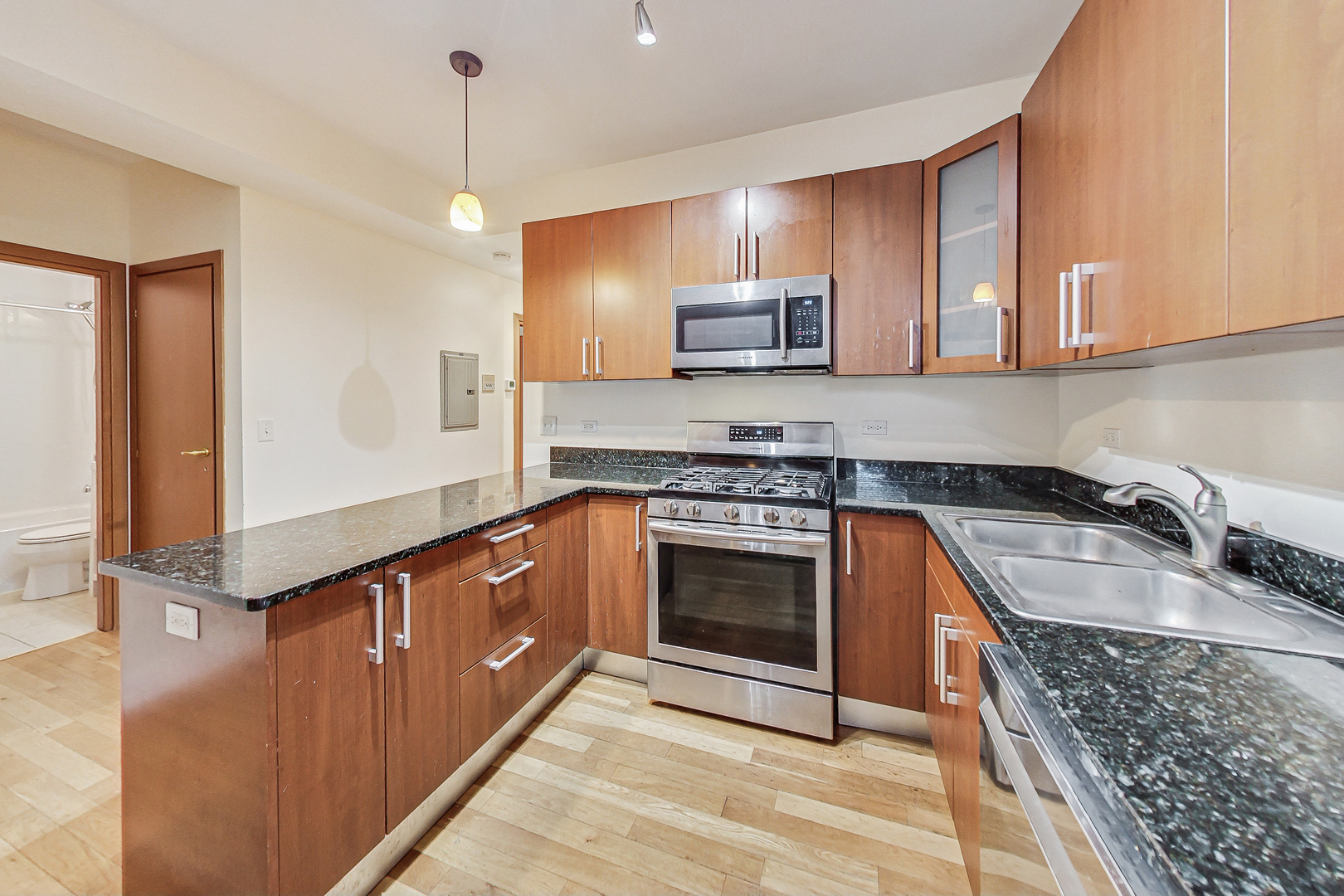 7321 North Paulina Street, Unit 2 Chicago, IL 60626 - Photo 9 of 27 a kitchen with stainless steel appliances granite countertop a sink a stove and a microwave oven