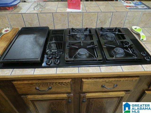 1566 Jackson Trace Road Talladega, AL 35160 - Photo 4 of 47