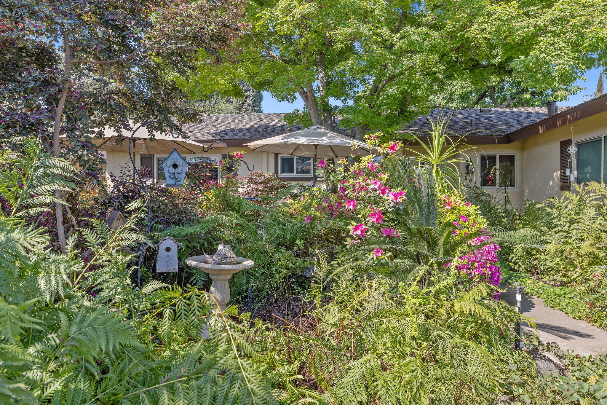 1009 South Rova Court Visalia, CA 93277 - Photo 5 of 57