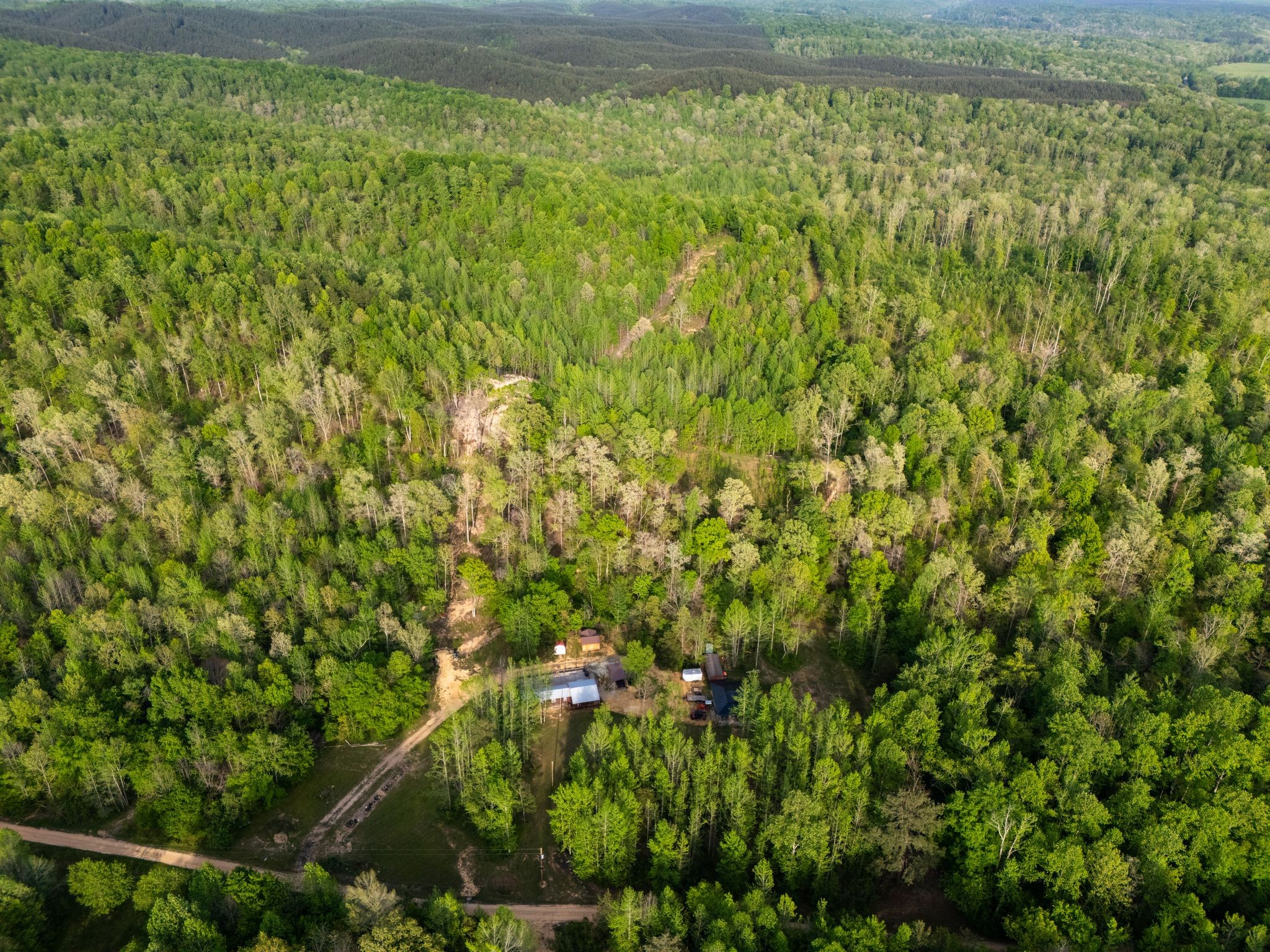 664 Russ Valley Road Lobelville, TN 37097 - Photo 49 of 63 a view of a bunch of trees