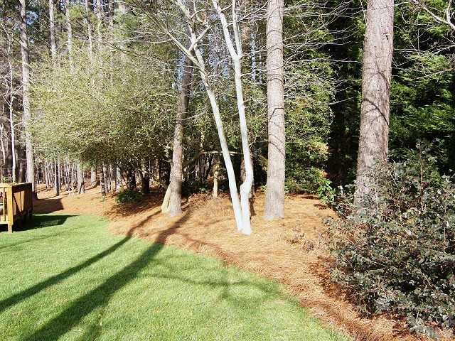 8604 Wapello Lane Raleigh, NC 27613 - Photo 24 of 25 Professionally landscaped.