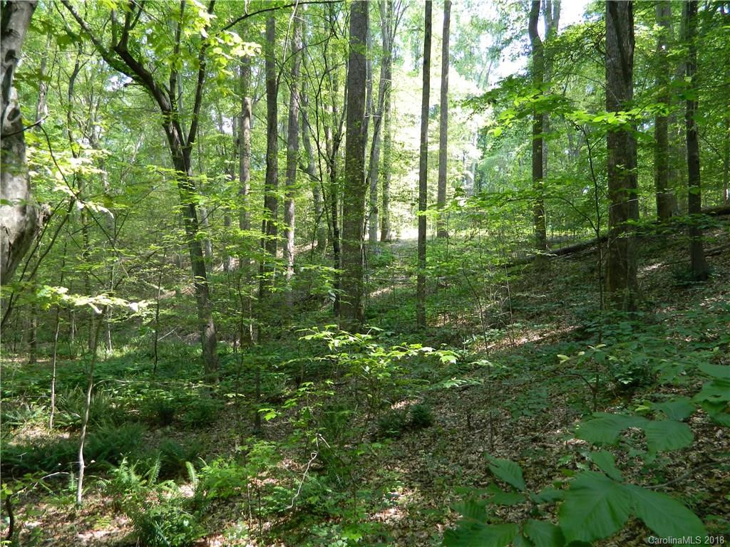 _ Well Road Matthews, NC 28105 - Photo 4 of 9