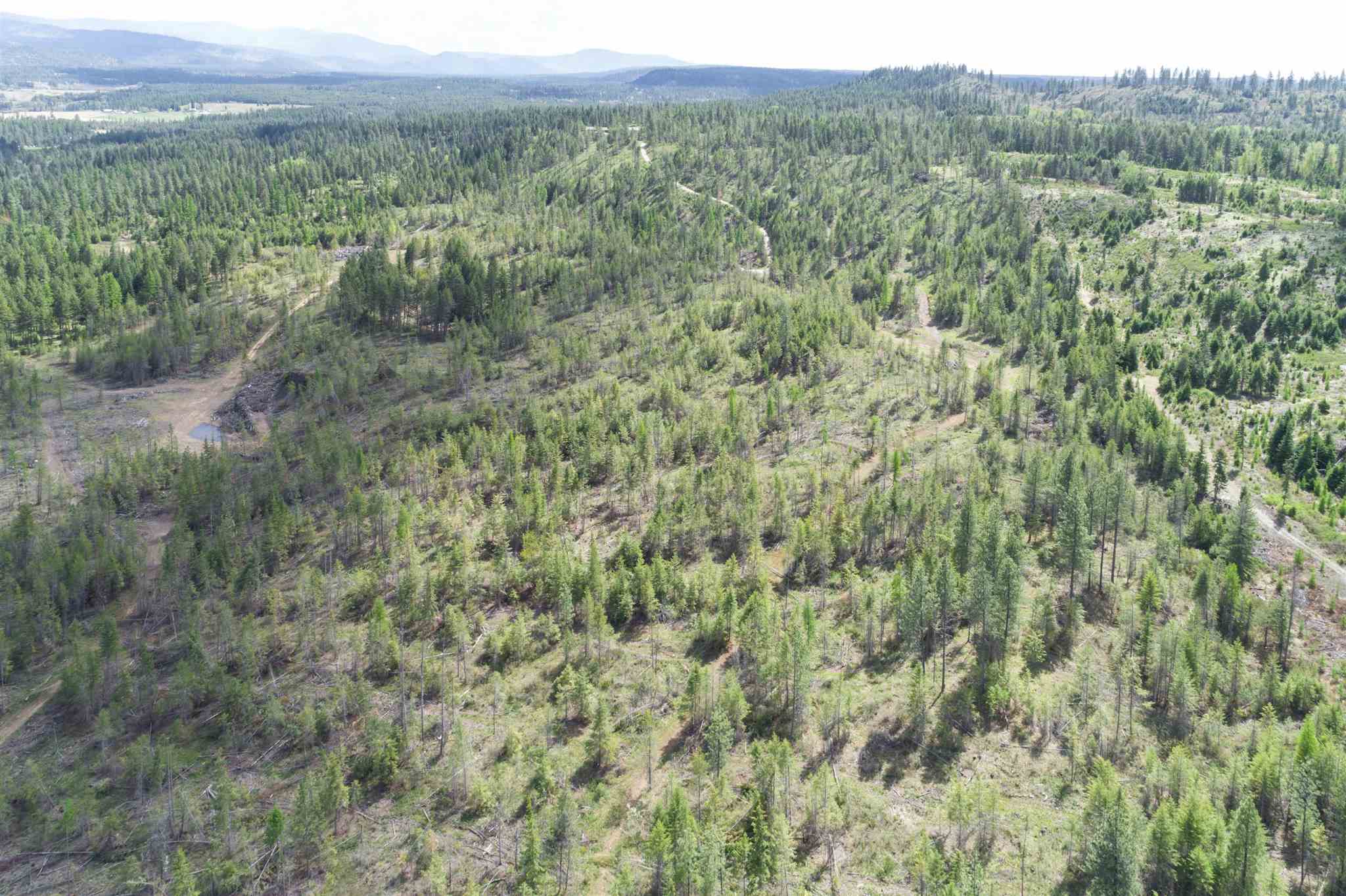 4049 Hesseltine Road Springdale, WA 99173 - Photo 33 of 42