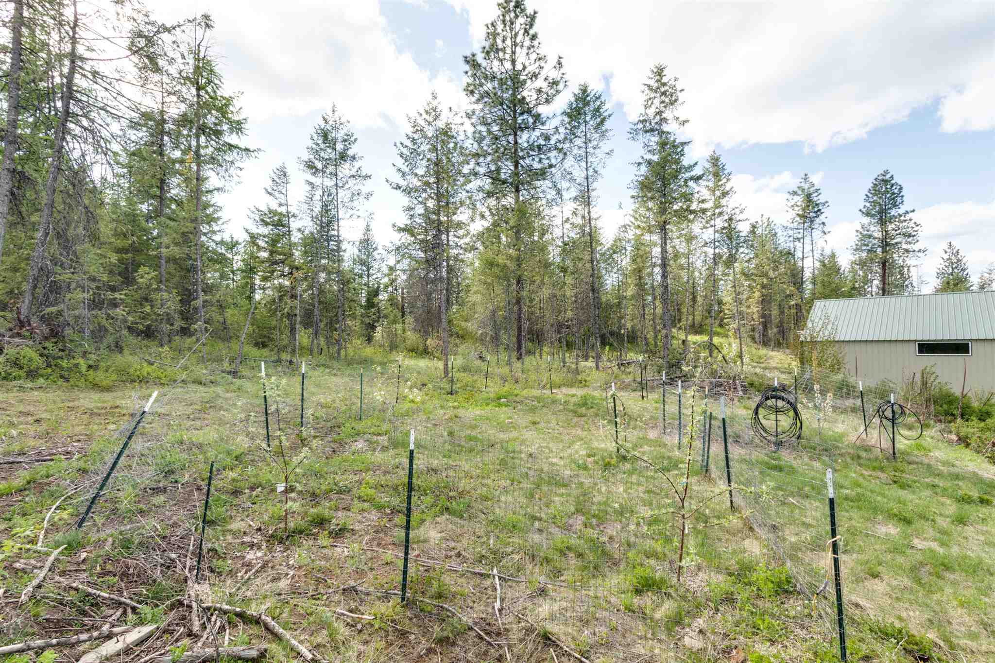 4049 Hesseltine Road Springdale, WA 99173 - Photo 34 of 42