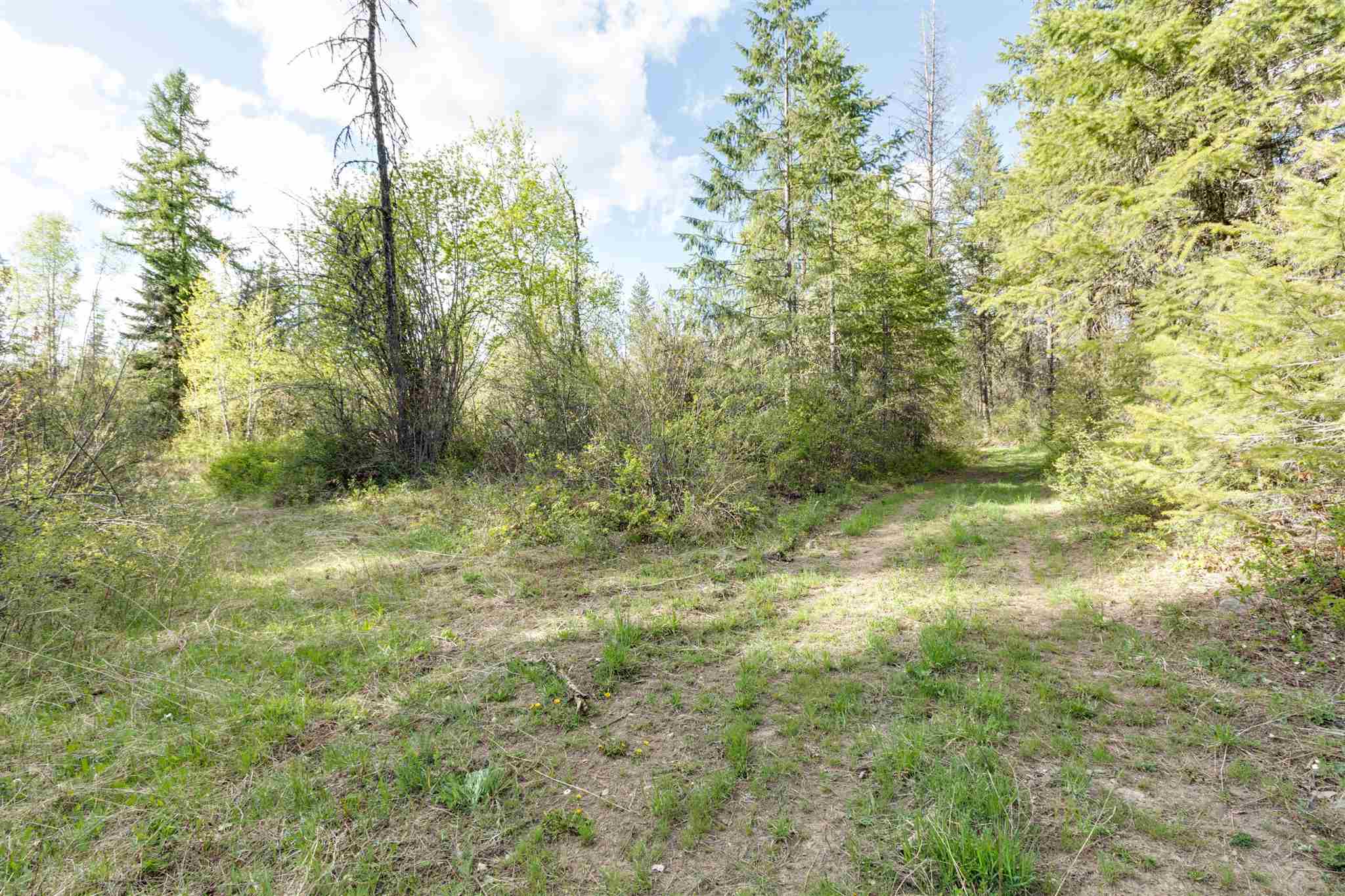 4049 Hesseltine Road Springdale, WA 99173 - Photo 36 of 42