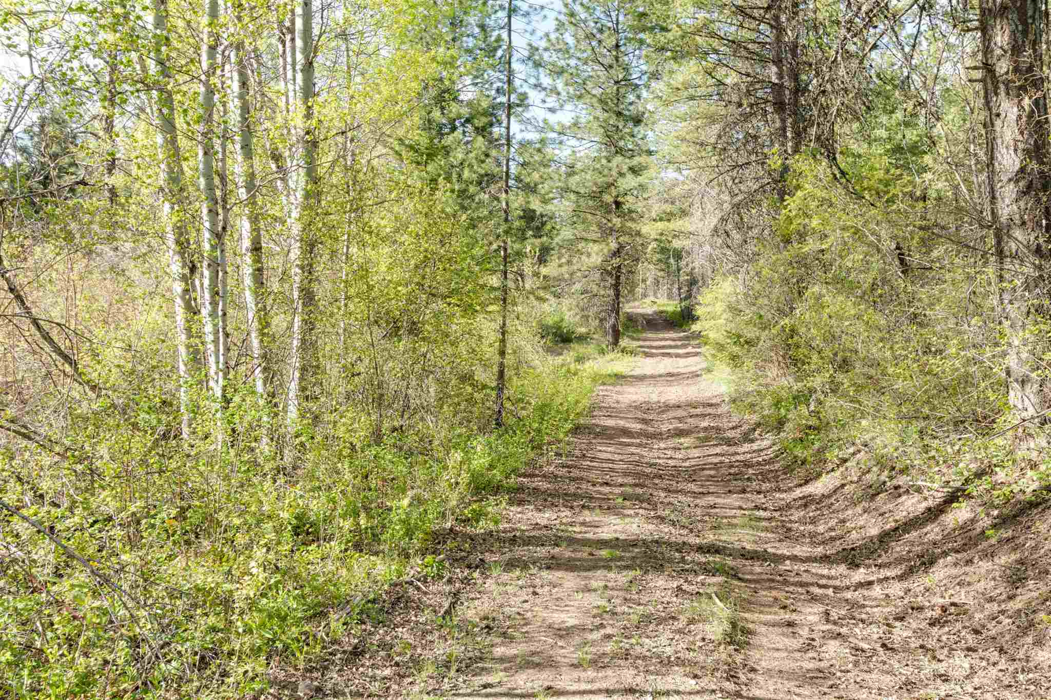4049 Hesseltine Road Springdale, WA 99173 - Photo 38 of 42