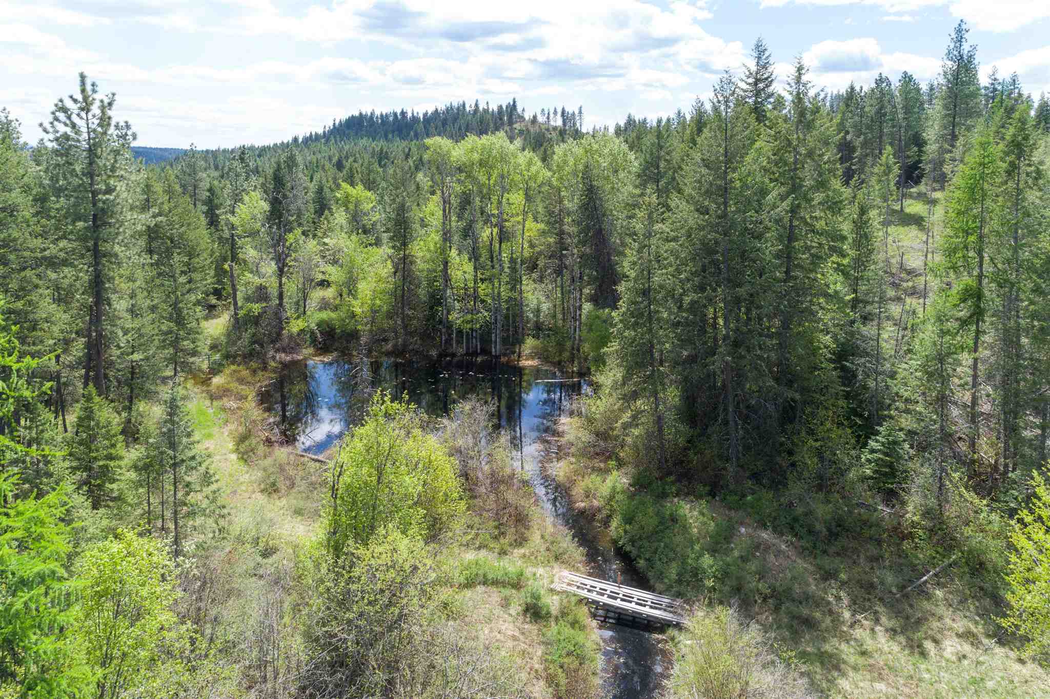 4049 Hesseltine Road Springdale, WA 99173 - Photo 39 of 42