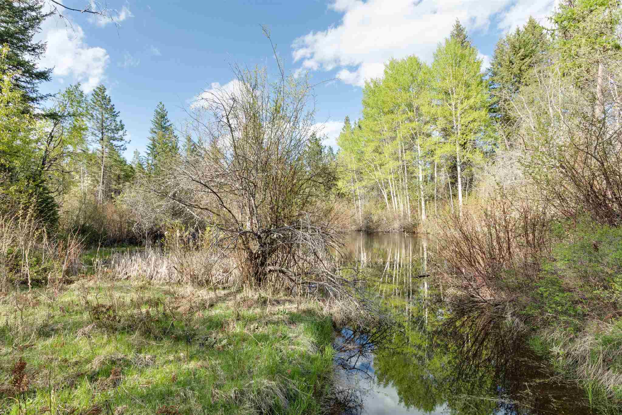 4049 Hesseltine Road Springdale, WA 99173 - Photo 7 of 42