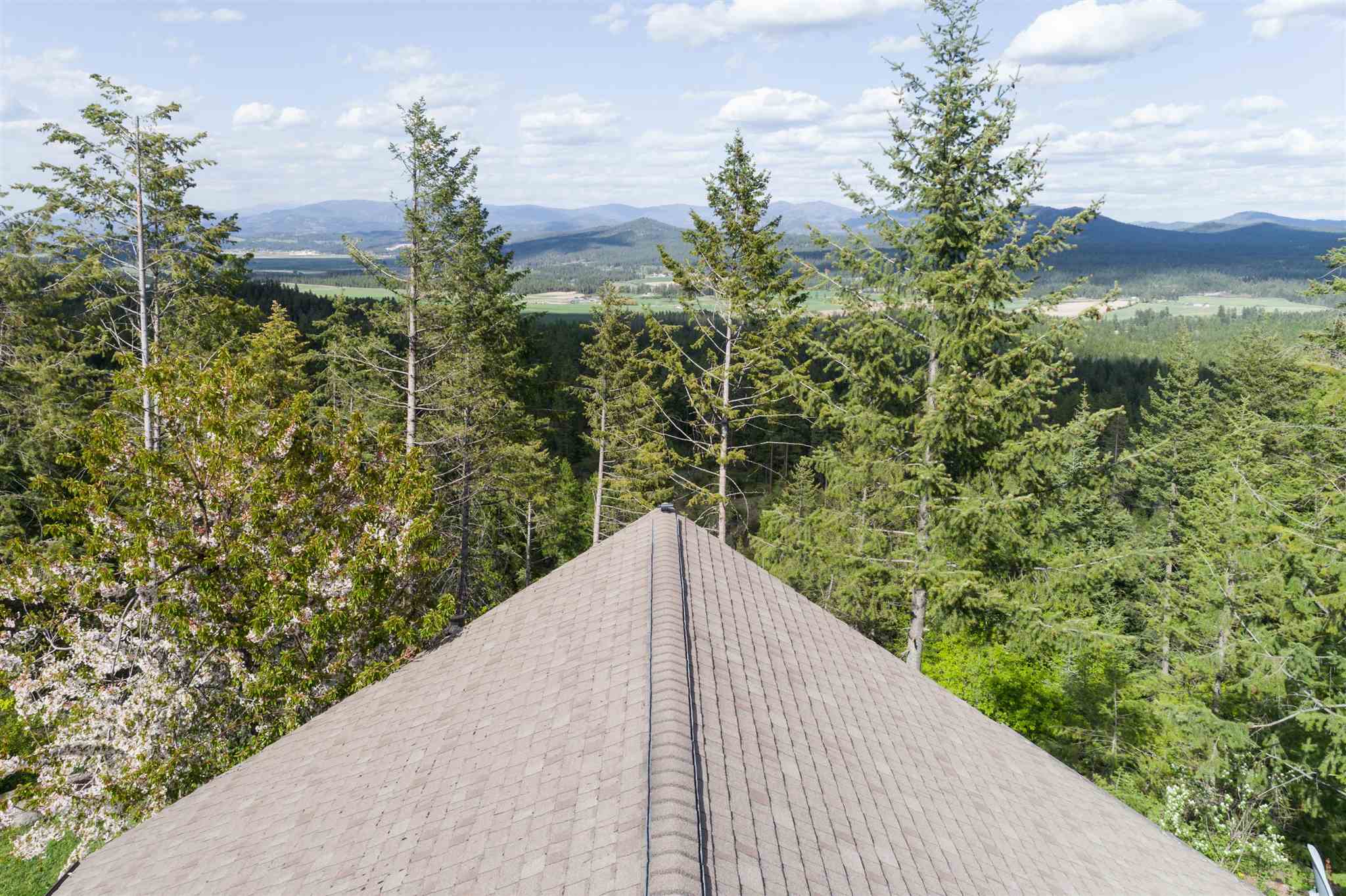 4049 Hesseltine Road Springdale, WA 99173 - Photo 8 of 42