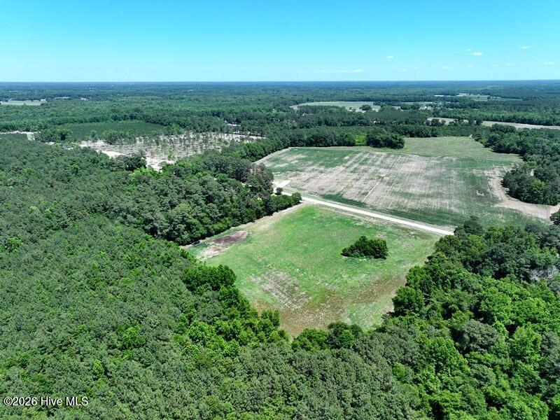 Tbd Sand Rock Road Fairmont, NC 28340 - Photo 3 of 17 DJI_20260510071528_0799_D