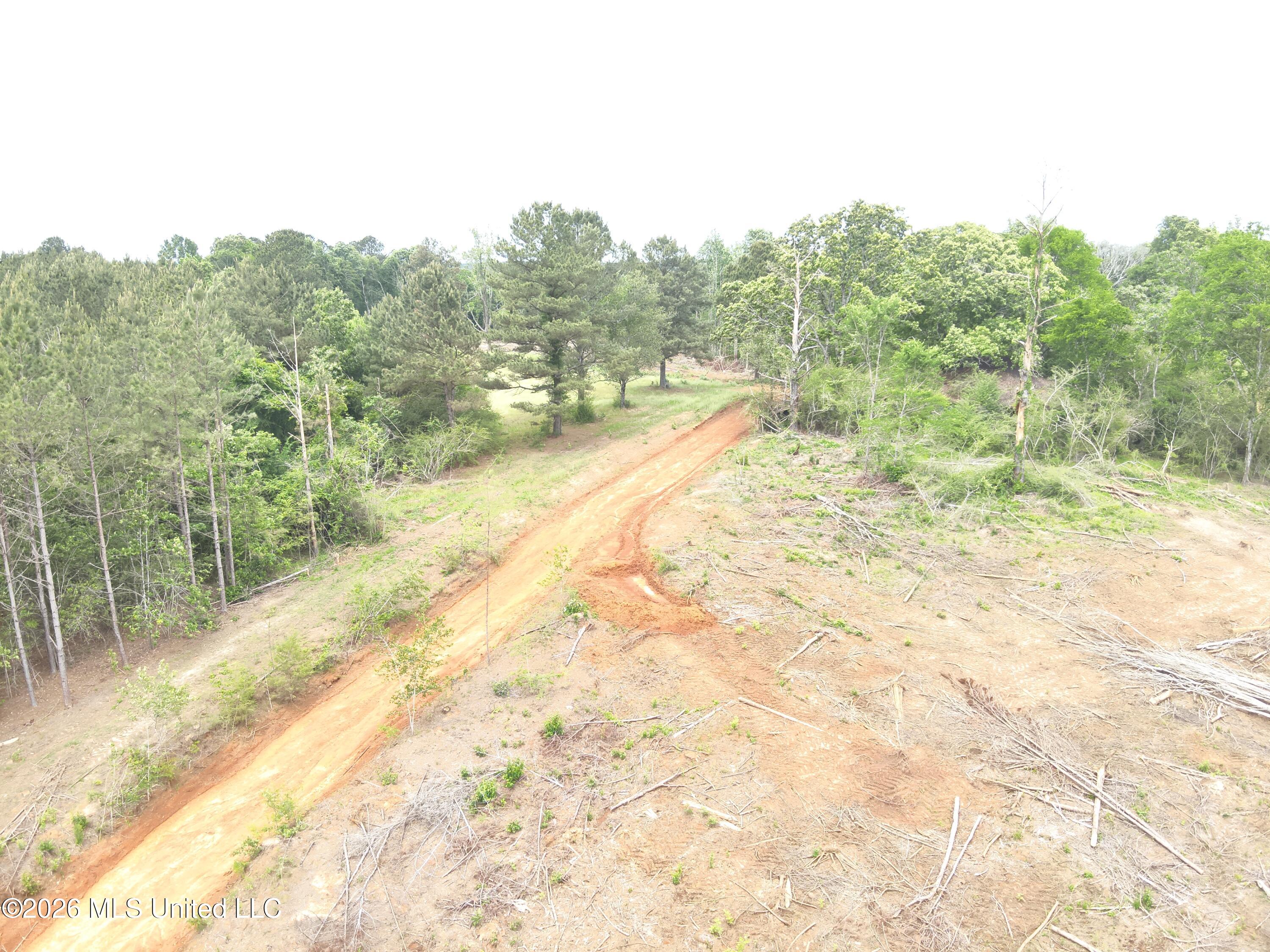 559 Smith County Road Pulaski, MS 39152 - Photo 9 of 32 DJI_20260427132110_0030_V