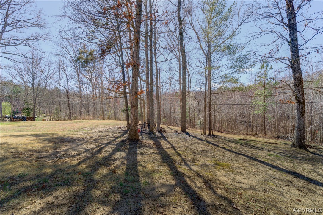 2341 Sheppard Town Road Maidens, VA 23102 - Photo 40 of 45 a view of backyard space