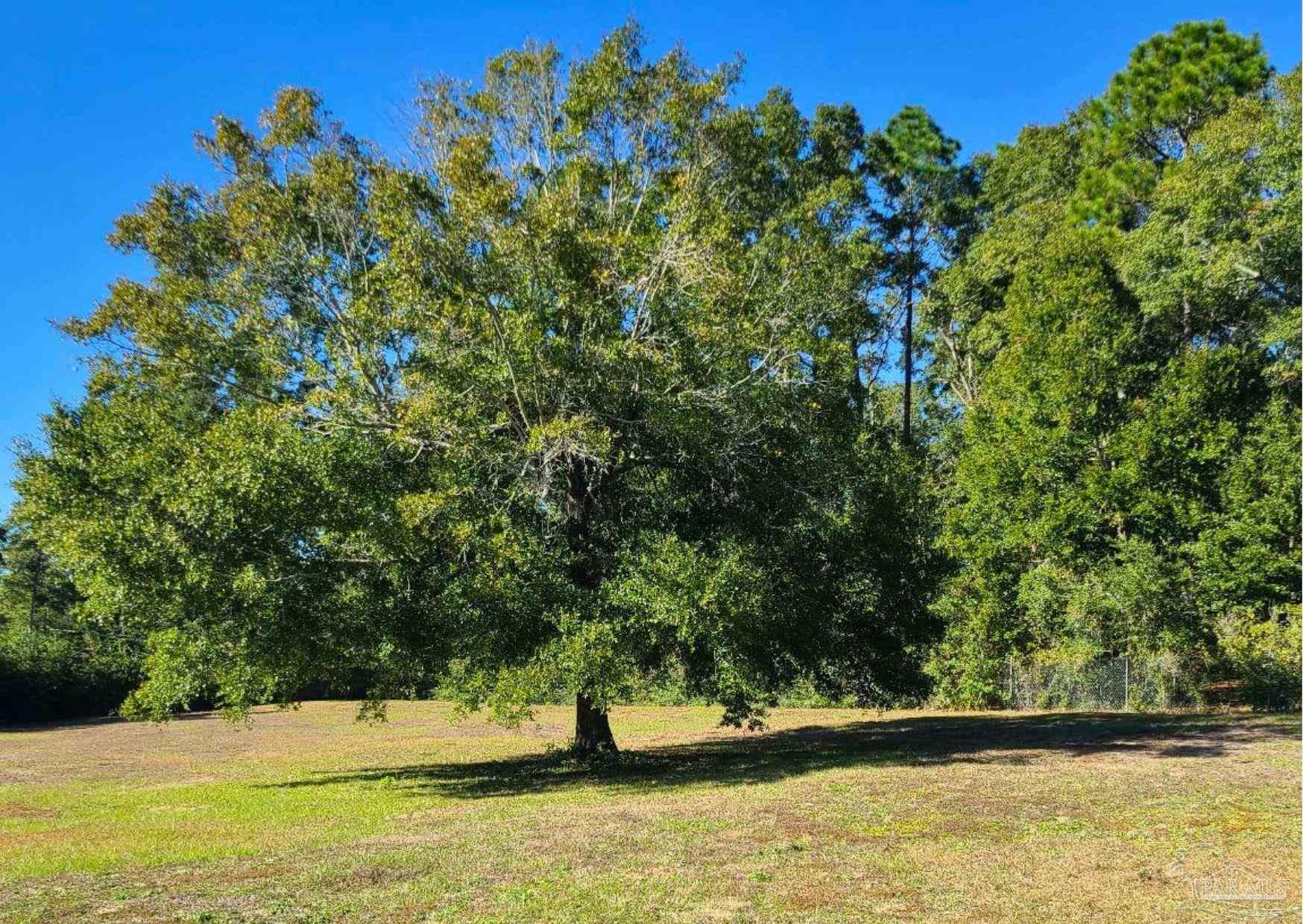 4995 Persimmon Hollow Road Milton, FL 32583 - Photo 20 of 22 Gallery Image 20