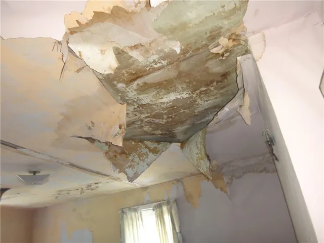 a picture of door with glass windows