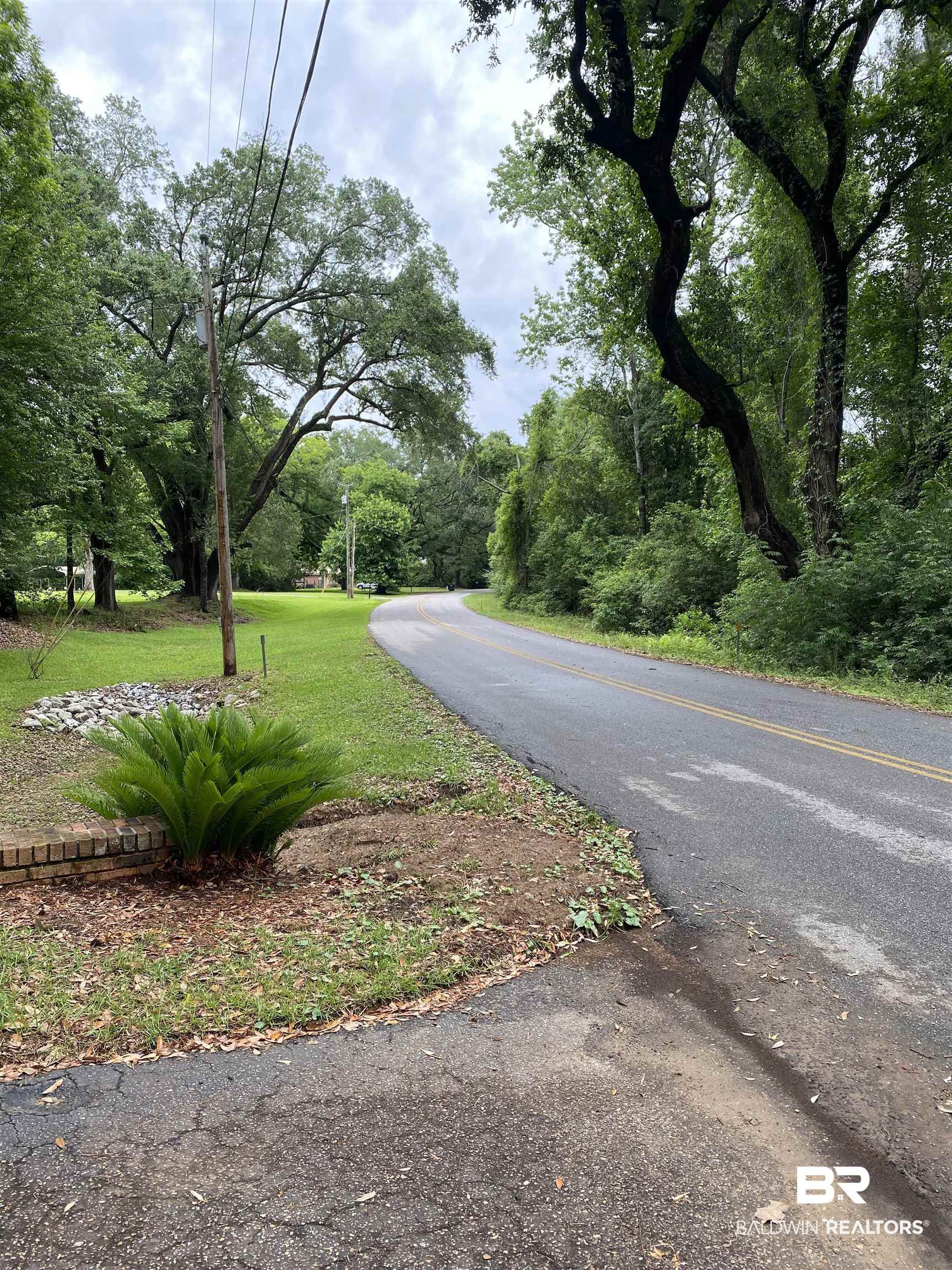 0 Old Mobile Road Daphne, AL 36527 - Photo 3 of 9 View of asphalt road