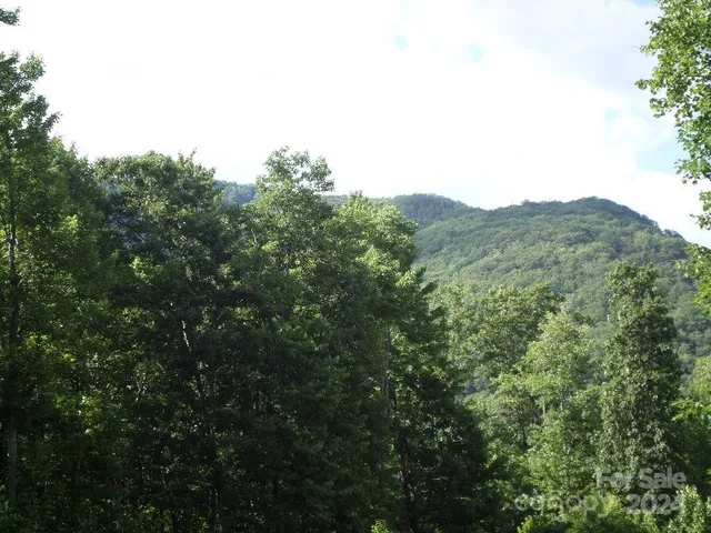 a view of a mountain range with trees in the background